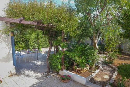 Villa Trulli & Dimore - Casa Dei Nespoli