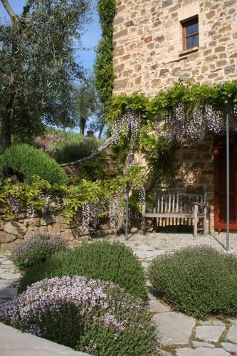 Montalcino Villa Sleeps 8 Pool Wifi