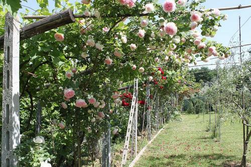 Montelupo Fiorentino Villa Sleeps 17 Pool Air Con