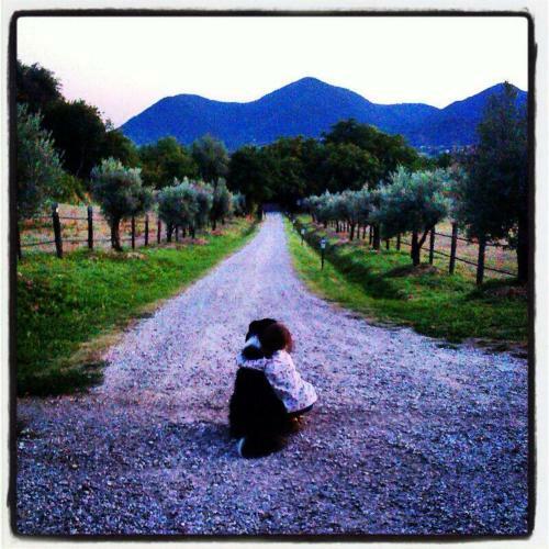 Bed & Breakfast Il Casale Al Colle