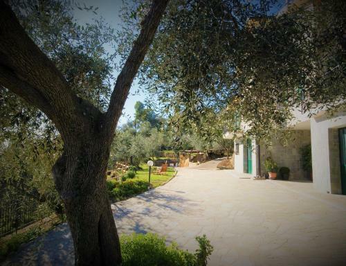 Apartamento Casa Casasse