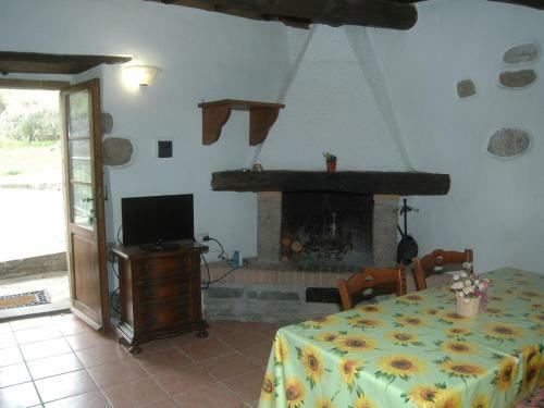 Marvelous Holiday Home In Arcidosso Near Castel Del Piano