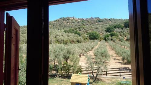 Bed & Breakfast Il Barbagianni