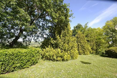 Montemaggiore Al Metauro Villa Sleeps 14 Pool Wifi