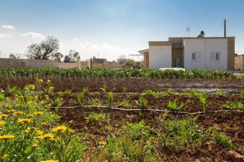Apartamento Villetta Evelyn