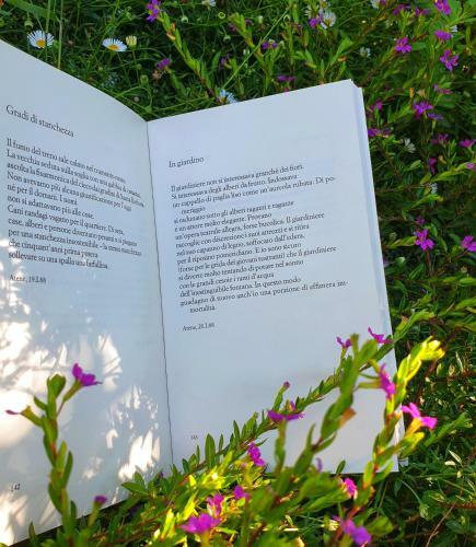B&B Il Giardino Ritrovato