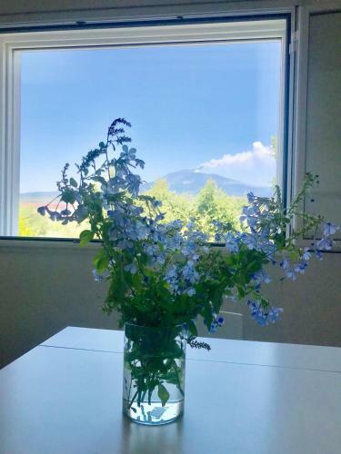 Hostal La Finestra Sull'etna