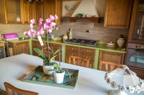 Apartamento Suite Orchidea By Dimorra