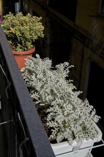 Bed & Breakfast A Casa Del Principe