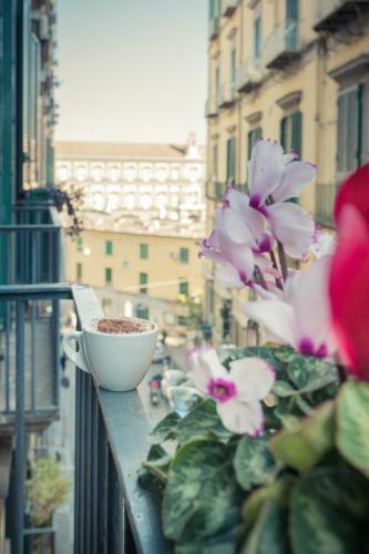 Residenza Reale