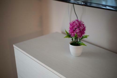 Apartamento Privilege Chiaia By Dimorra