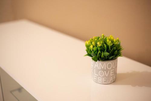 Apartamento Privilege Chiaia By Dimorra