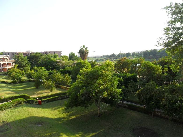 Hotel Pyramisa Isis Island