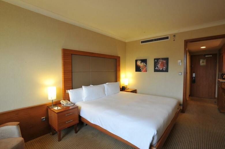 Hotel Hilton Prague