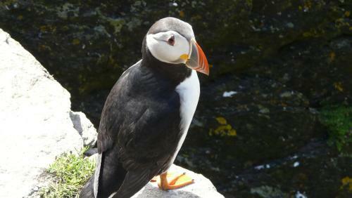 Bed & Breakfast Carraig Liath House