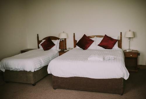 Bed & Breakfast The Royal Valentia