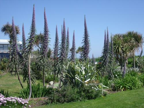 Kelly's Resort Hotel & Spa