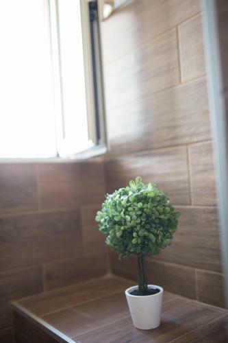 Apartamento Azuleya Home By Dimorra