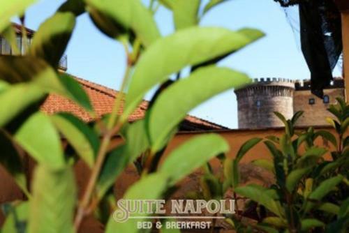 B&B House Angioino