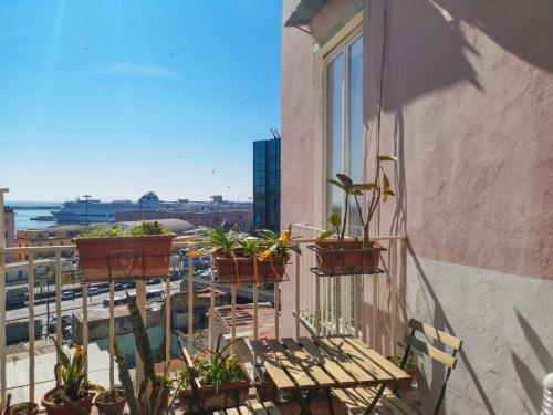 Bed & Breakfast Civico13