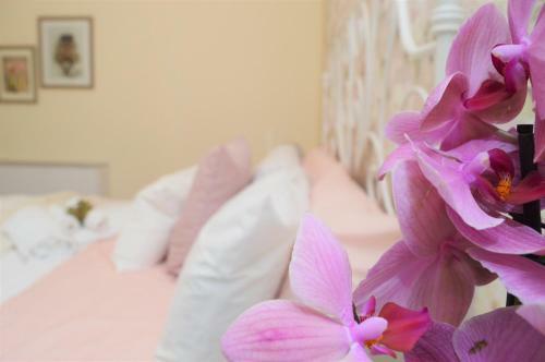 Bed & Breakfast Agriturismo Colle Salomonio