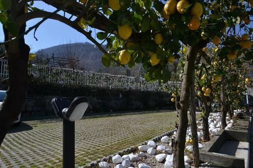 Seiano Villa Sleeps 10 Pool Air Con Wifi