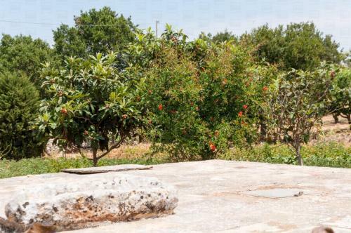 Apartamento Helloapulia Villa Flora