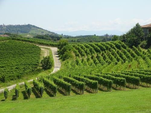 Hostal Al Tirabus�n Countryhouse