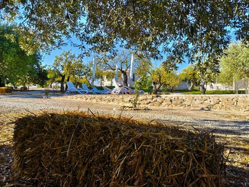 Agroturismo Mennuli&alivi - Organic Farm