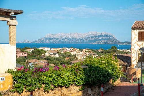 Apartamento Appartamento Belvedere 26/3