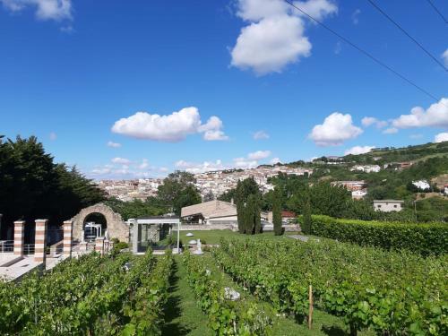 Casalbergo Ortohotel Di Peppe Zullo