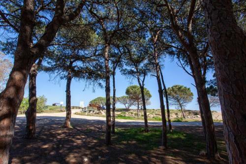 Apartamento Appartamento Saggia