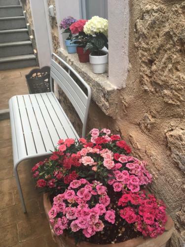 Hostal Casa Delle Conce