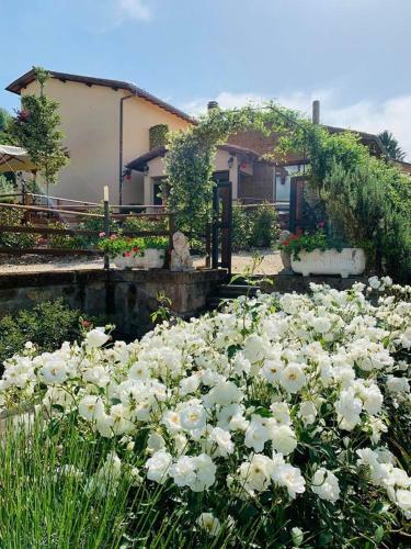 Agroturismo Locanda Orvieto Agriturismo