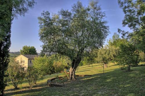 Casali Marchigiani - Ville Vacanza Private Con Piscina