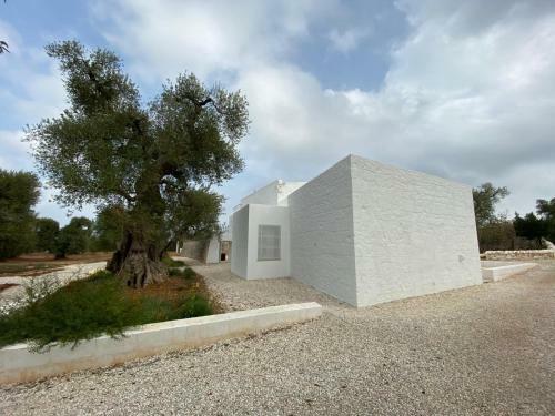 Bed & Breakfast Masseria Dagilupi