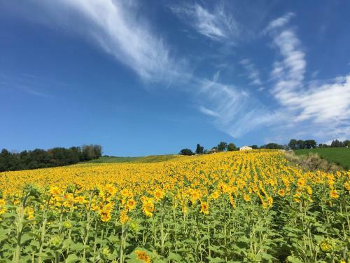 Agroturismo Casale Dei Cinque Colli
