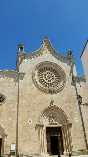 Vico Fortis 30