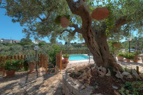 Villa Trullo Paan - P15