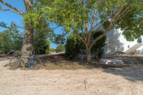 Apartamento La Mangiatoia By Typney - P20