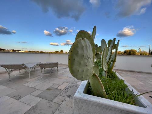 Bed & Breakfast Tenuta Ermes
