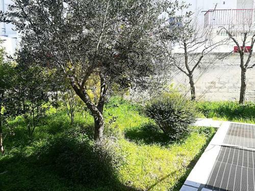 Casa Vacanze Penelope Otranto Centro, Salento 6/7 Posti