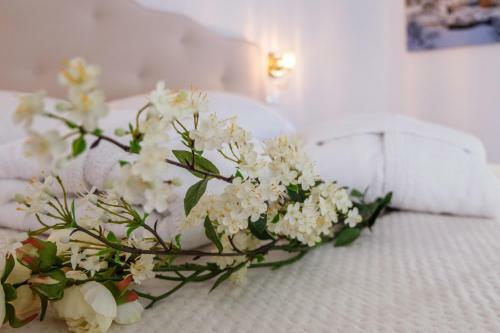 Bed & Breakfast La Bella Ostuni Suites