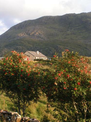 Bed & Breakfast Ard Na Mara Beach Cottage