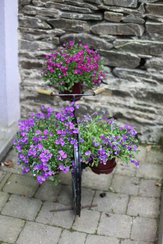 Moville Holiday Hostel