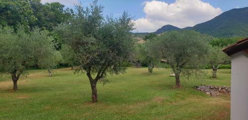 Agroturismo Agriturismo Il Castagneto