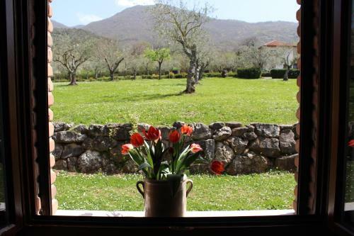 Agroturismo Agriturismo Il Castagneto