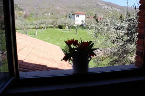Agroturismo Agriturismo Il Castagneto