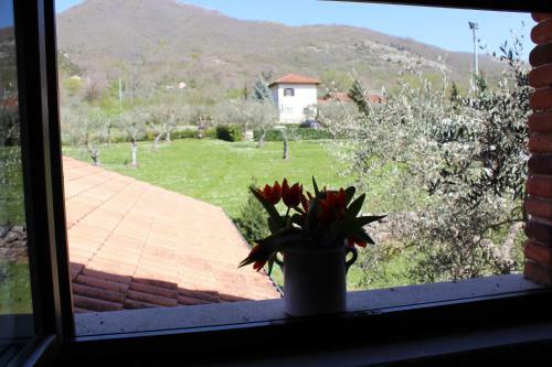 Agroturismo Agriturismo Il Castagneto