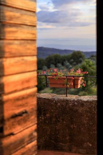 Agroturismo Borgo Palazzuolo Vecchio